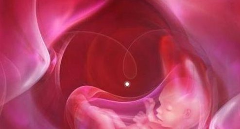 南京医科大学第二附属医院做三代试管成功率如何？一文读懂需要花多少钱